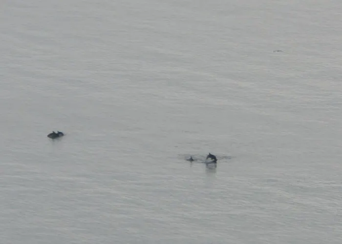 Panoramic Sea View Crown, Pools And Beach, 公寓 *